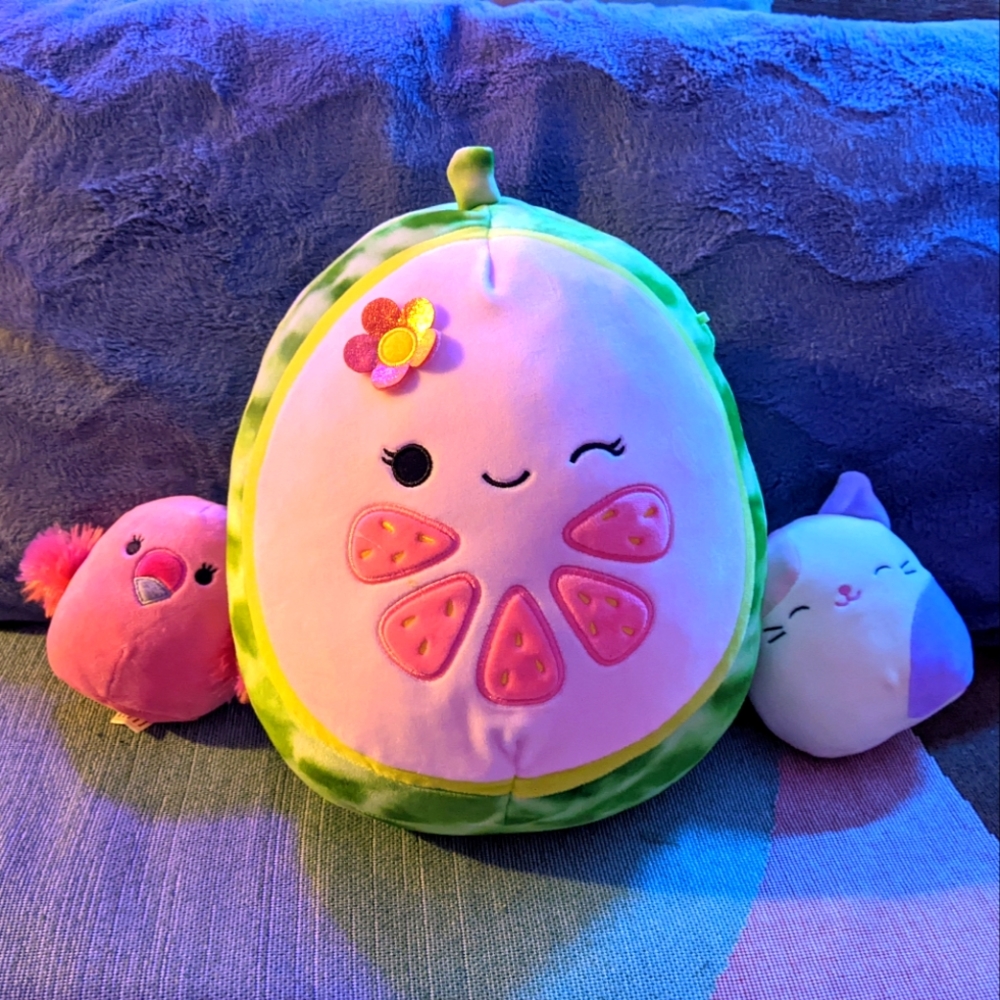 3 Squishmallows Lena the Guava 11" - Charlotte the Cat 5" Cookie the Flamingo 5"